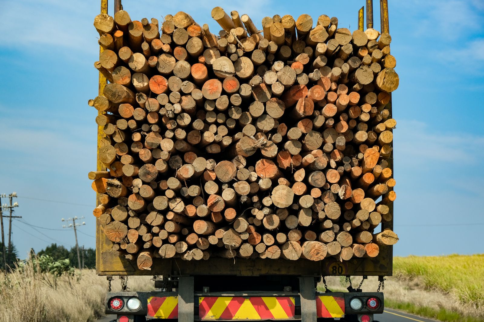 Grumier chargé de bois